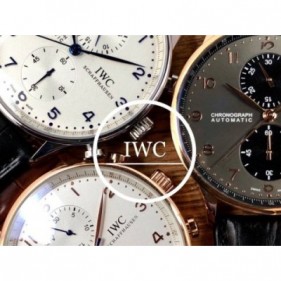 IWC 포르투기저 그레이다이얼 오토무브